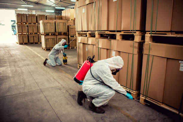 Professional Pest Control in San Marcos, CA