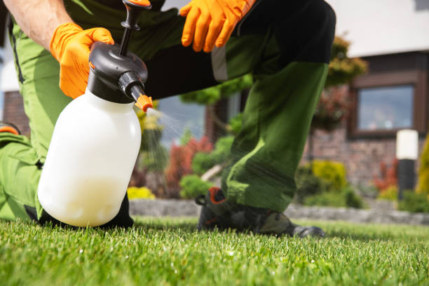 Best Rat Extermination Near Me  in San Marcos, CA